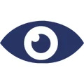 Vision